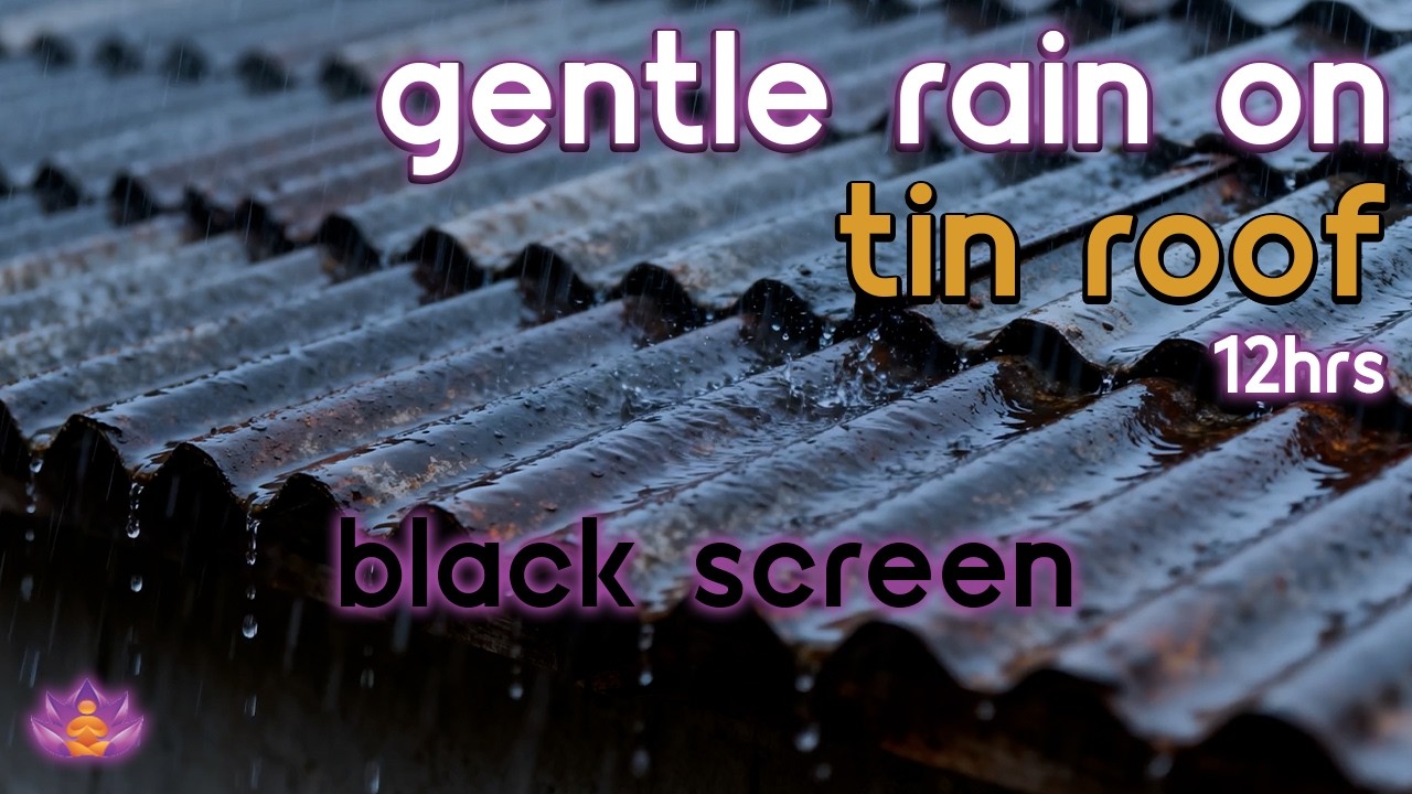 [Black Screen] Sleep Under Tin Roof | Gentle Rain on Tin Roof – No Thunder | Rain Sounds for Sleep