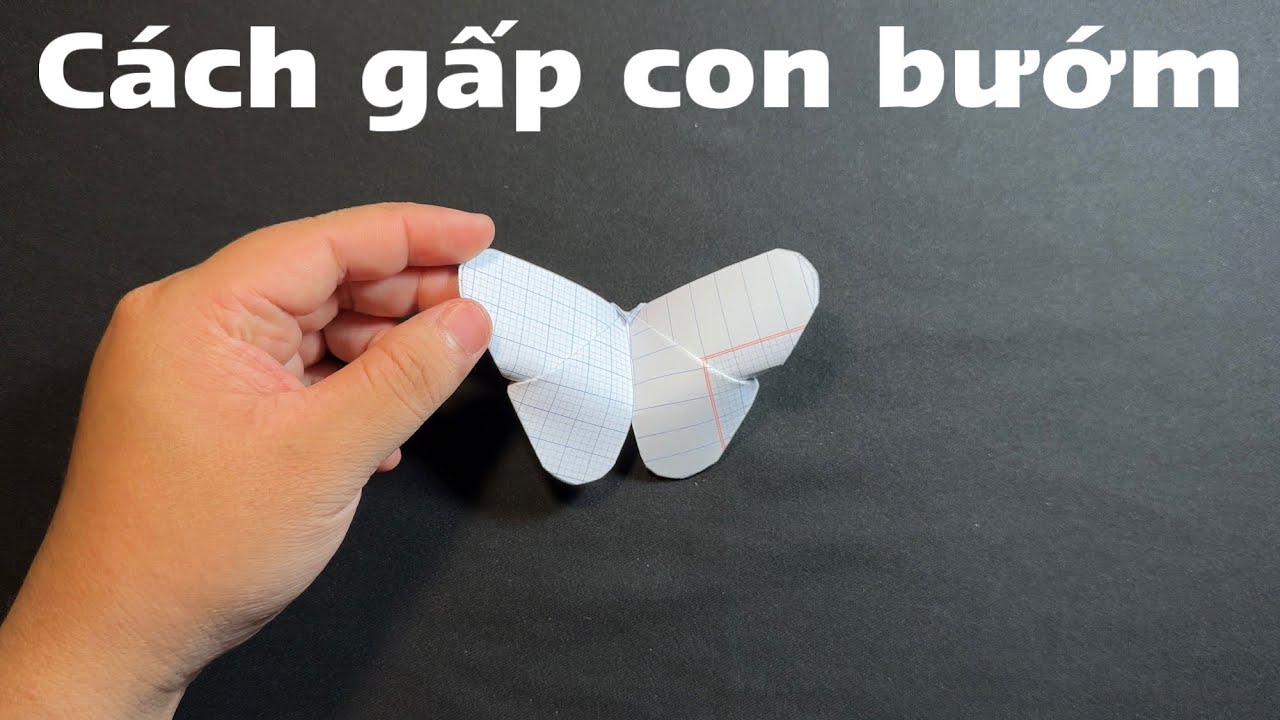 Cách gấp con bướm bằng giấy