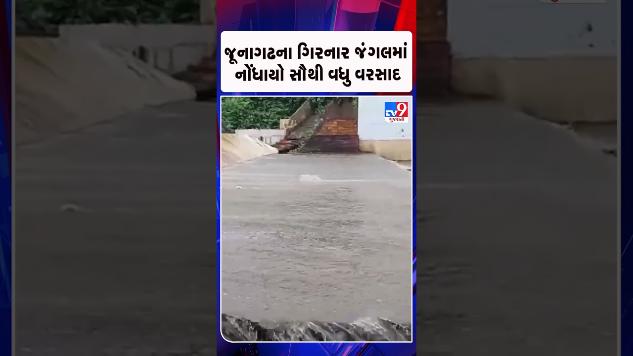 જૂનાગઢના ગિરનાર જંગલમાં નોંધાયો સૌથી વધુ વરસાદ  | Gujarat | TV9Gujarati