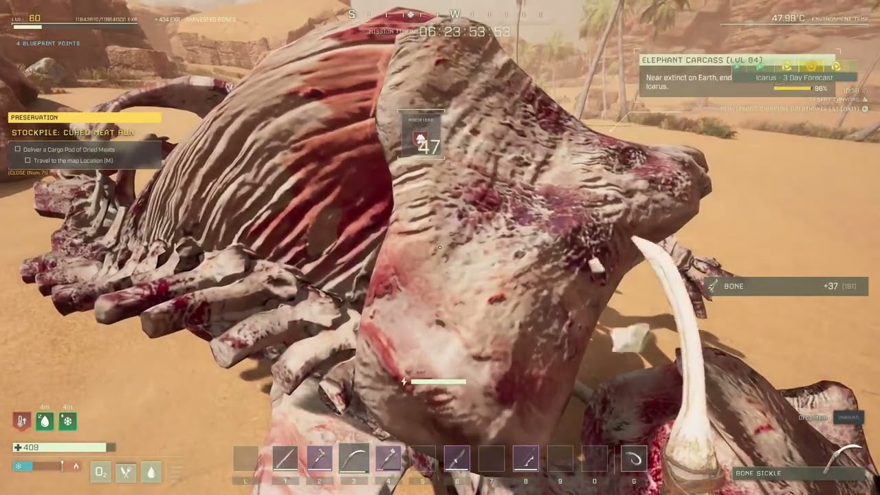 Icarus Mission: Preservation