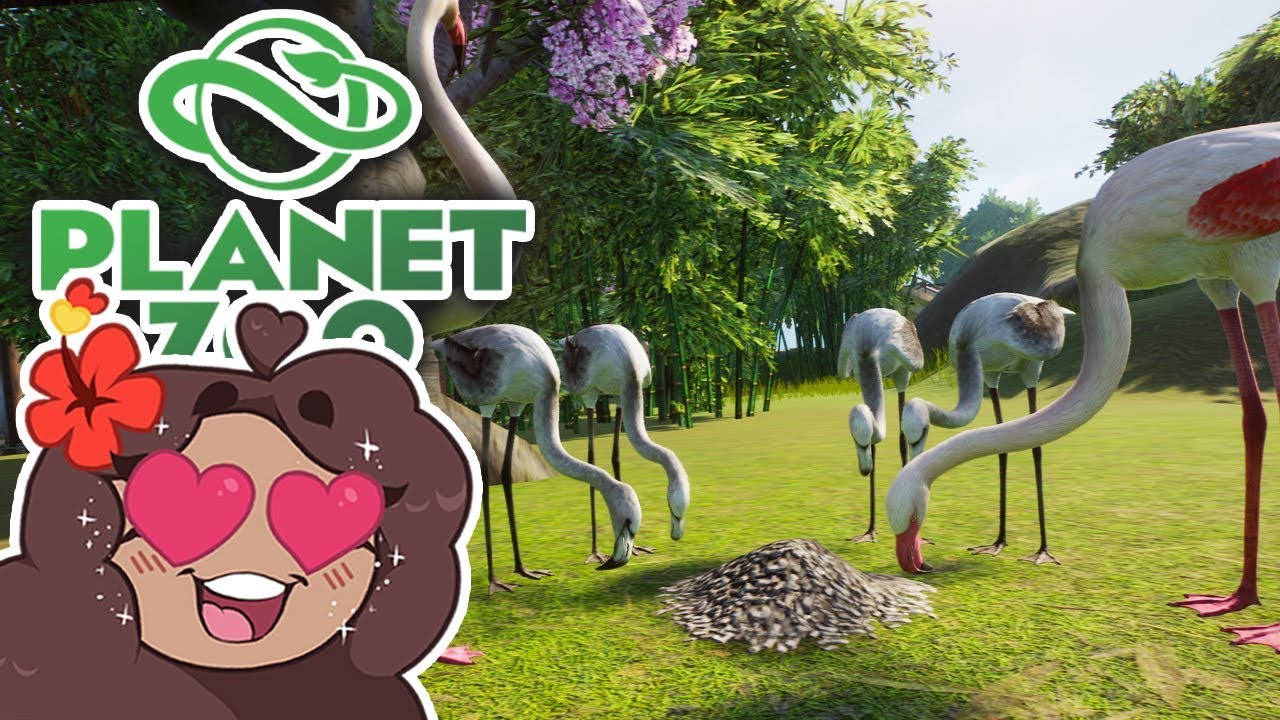 A Frantic Flummox of FLAMINGOS!! 🐼 Daily Planet Zoo! • Day 16