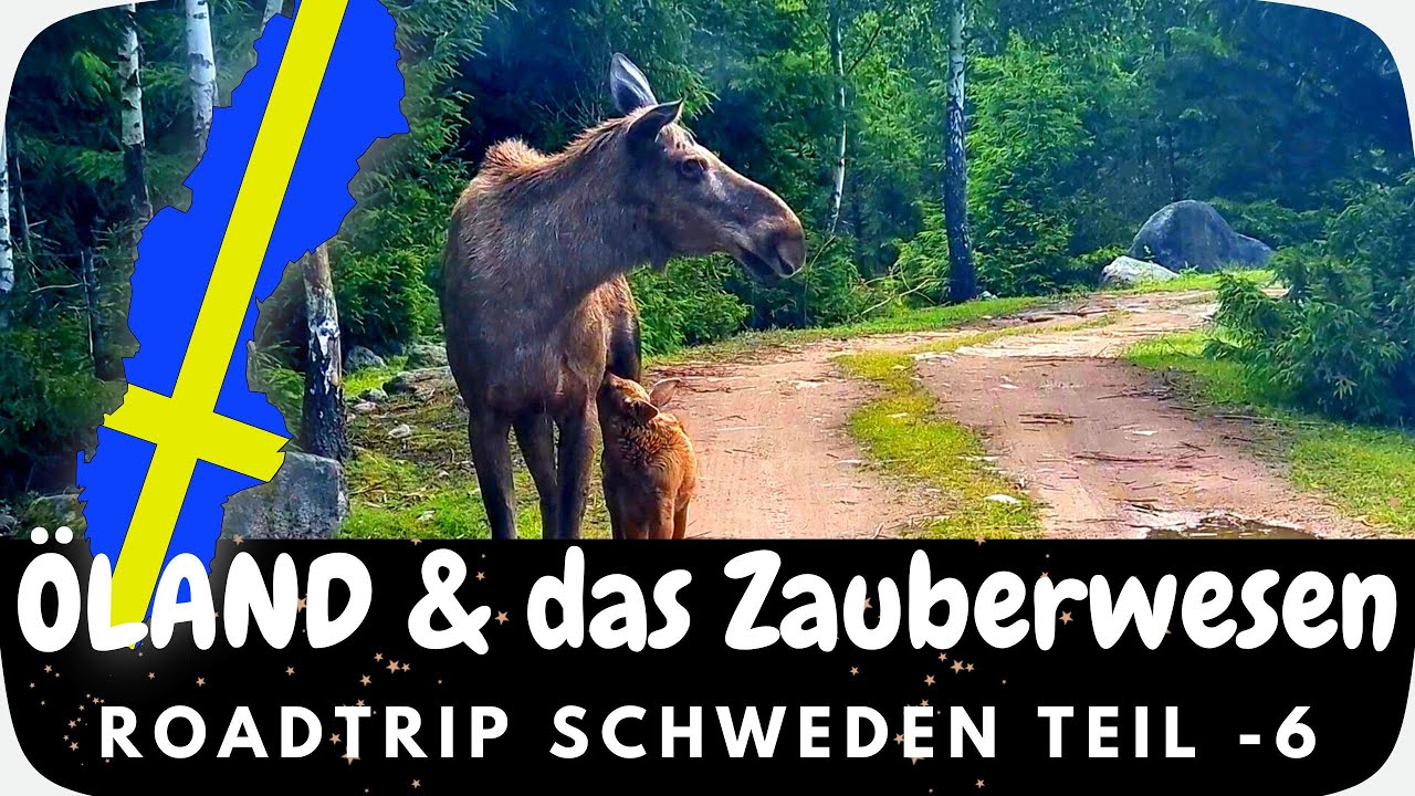 ÖLAND & das Zauberwesen ELCH - Roadtrip Schweden 2022 - Teil 6