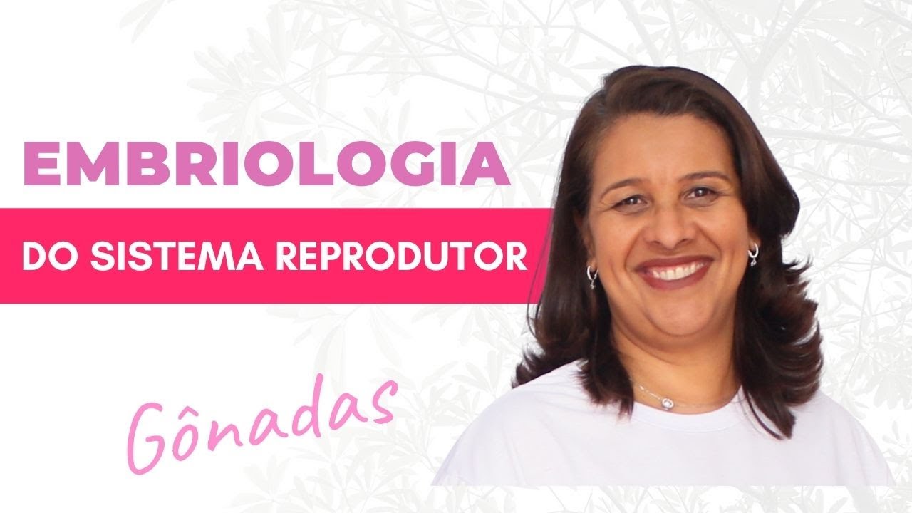 Embriologia do sistema reprodutor masculino e feminino. Testículo e ovário
