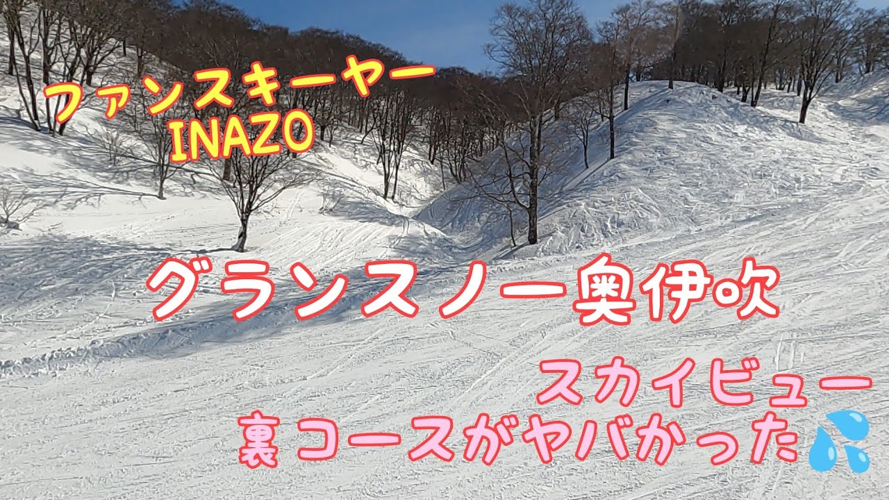 ファンスキーヤーINAZO  グランスノー奥伊吹　スカイビュー裏コースがヤバかった😱