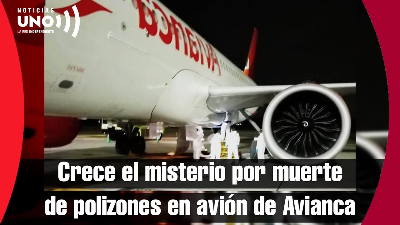 Misterio sobre lugar abordaje de polizones que MVЯlEЯ0N en avión de Avianca