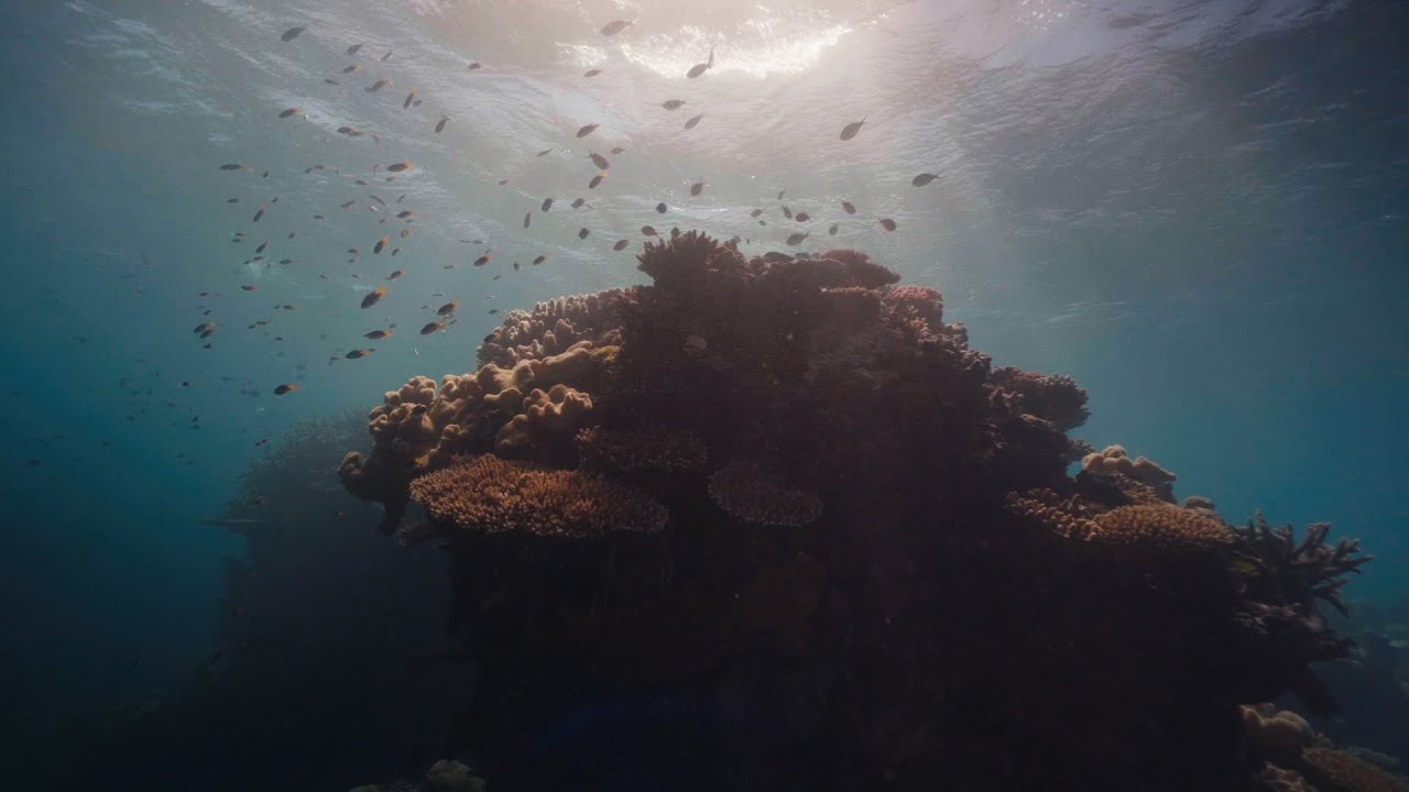 Rolex Perpetual Planet Initiative – Solutions for a Better Future