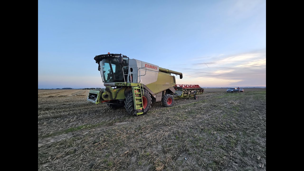 Žně 2024 - Služby s CLAAS LEXION 660 | GoPro/driver view | přejezdy | 5-2024