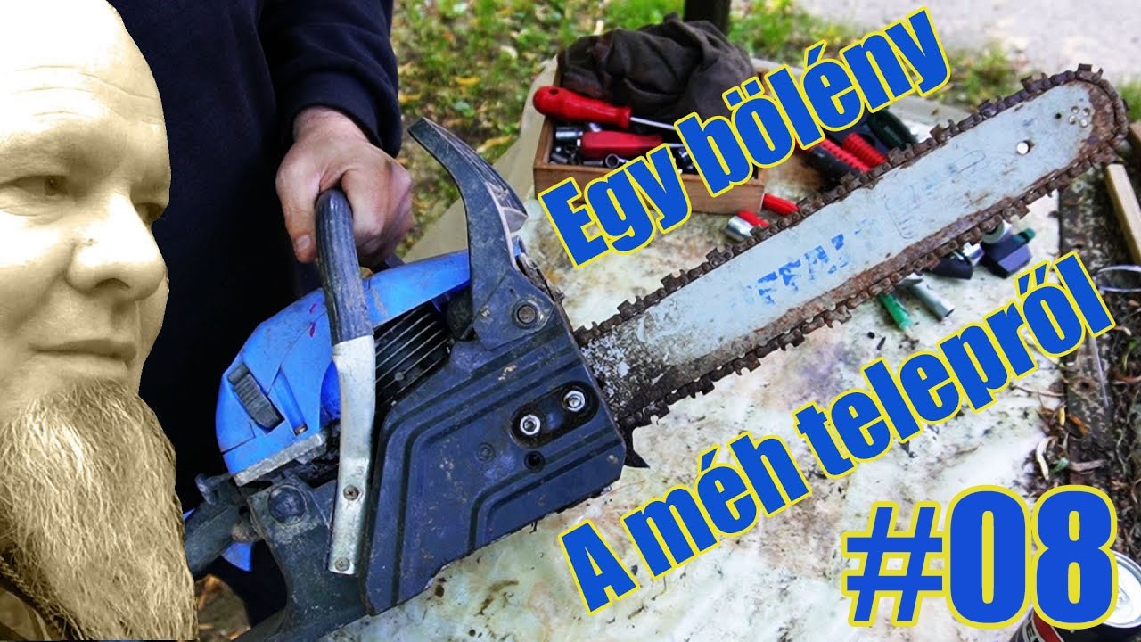 Buffalo B4516 - méhtelepről vissza az életbe #008