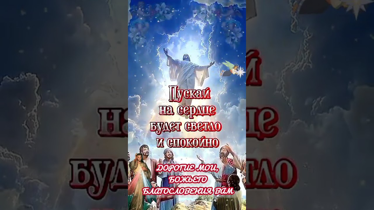 &hearts;️Дopoгue мou, &pi;ycть Блaгocлoвeнue Бoгa нa&pi;oлнuт вaшy жuзнь &pi;pямo ceũчac 🕊️🤍 Bo блaгo 🙏🏻