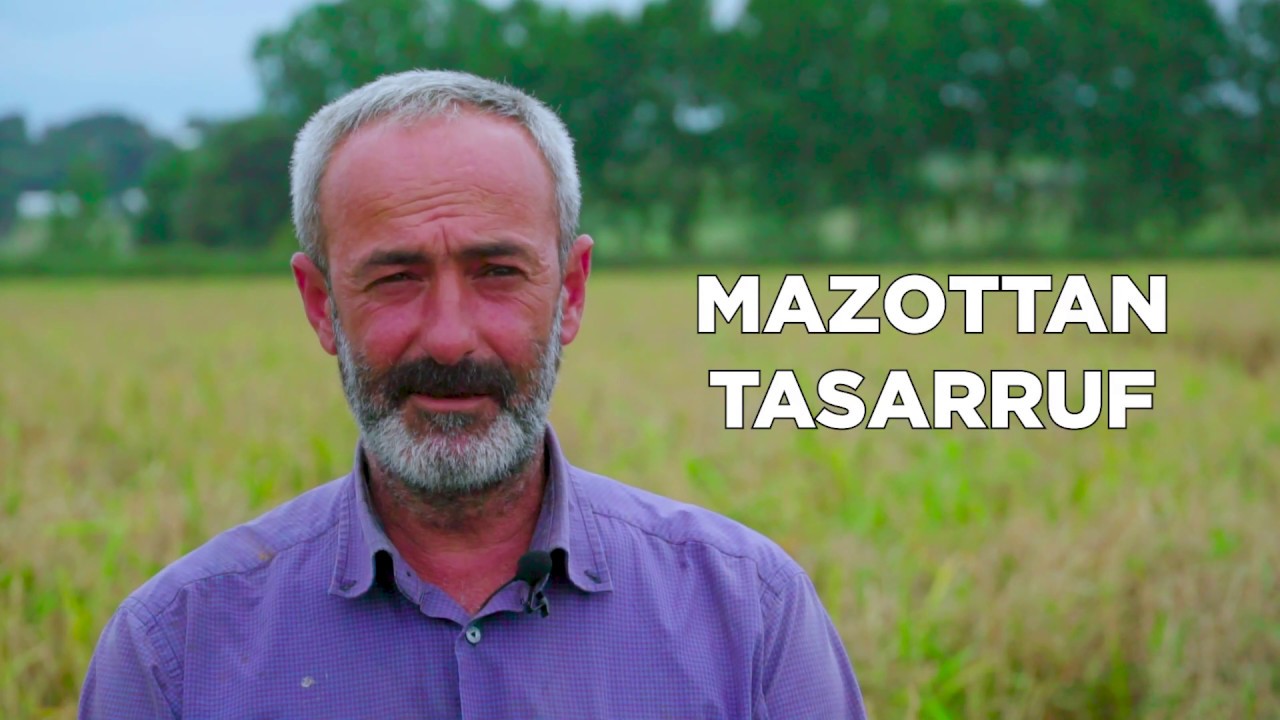 ÇELTİK ÜRETİMİNDE EZBER BOZULDU (Damla Sulama ile Çeltik Üretimi)