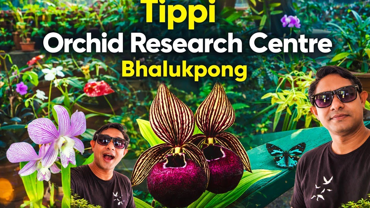 India’s Largest Orchid Collection 🌺 | Tippi Orchid Research Centre Travel Vlog