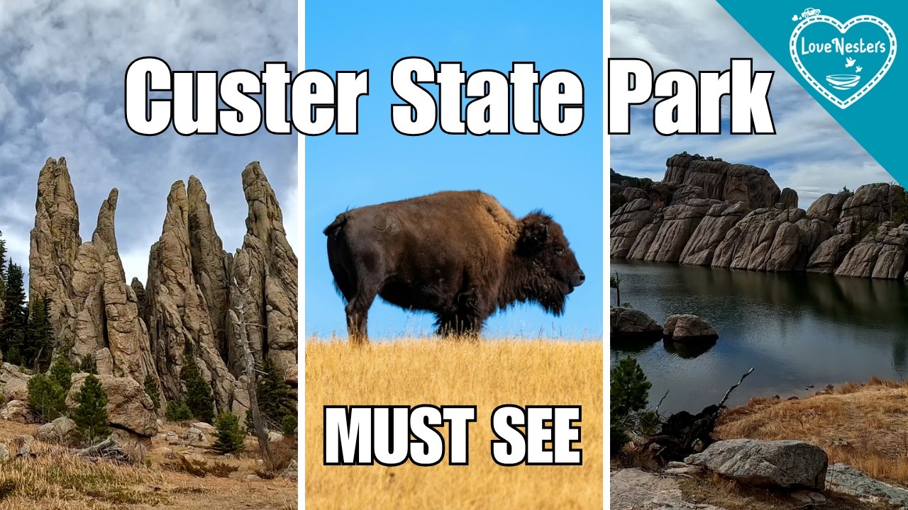 7 things you Can't Miss in Custer State Park: South Dakota Travel Guide
