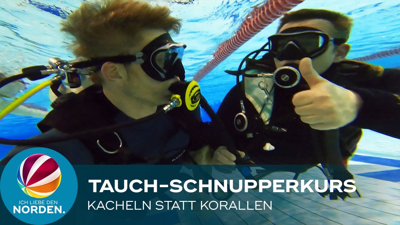 Kacheln statt Korallen: Tauch-Schnupperkurs in Flensburg