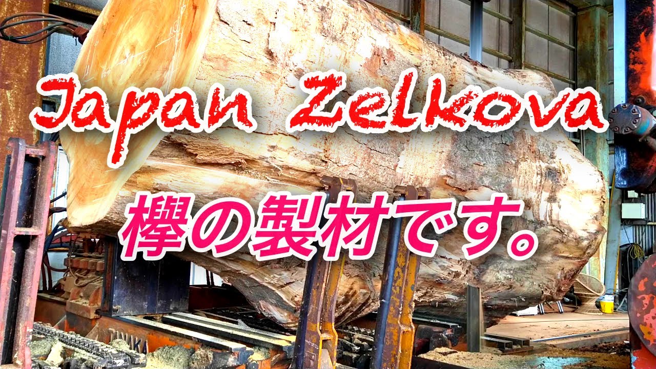 ちょっと大きい欅の製材動画です。・Japan Zelkova Sawing!!
