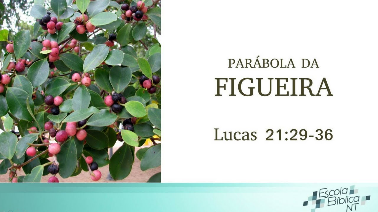 Escola Bíblica #10 - Parábola da Figueira (1ª Temporada)