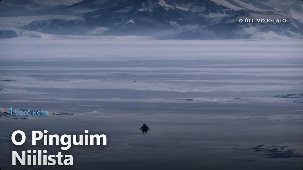 O Mistério do Pinguim Niilista: Quando um Animal Desafia o Sentido da Vida