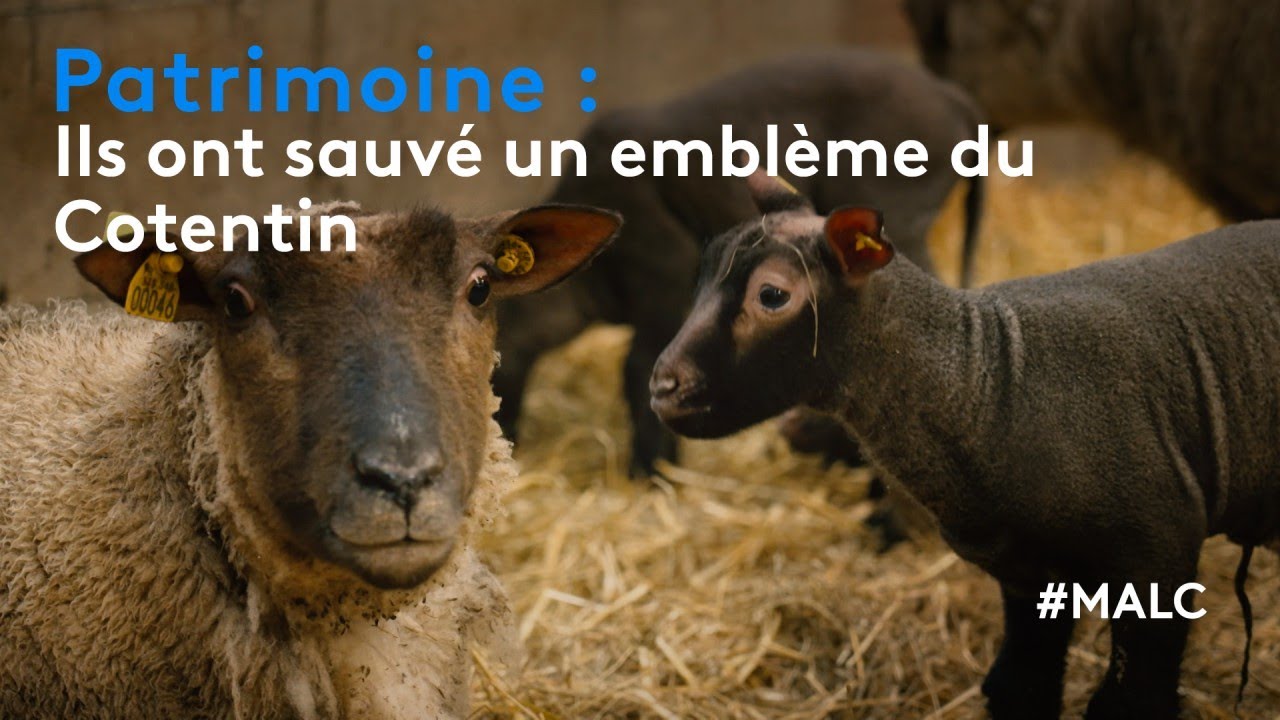 Patrimoine : Ils ont sauvé un emblème du Cotentin