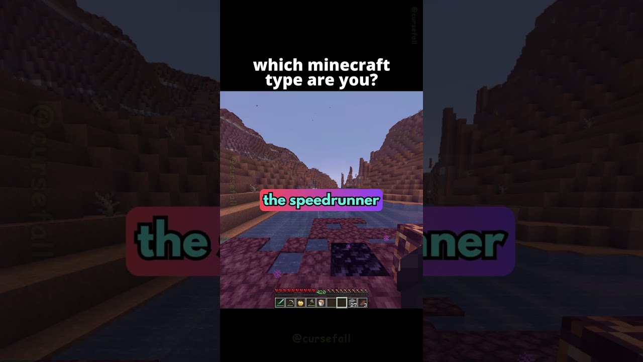 What Type Of Minecraft Player Are YOU? 😈