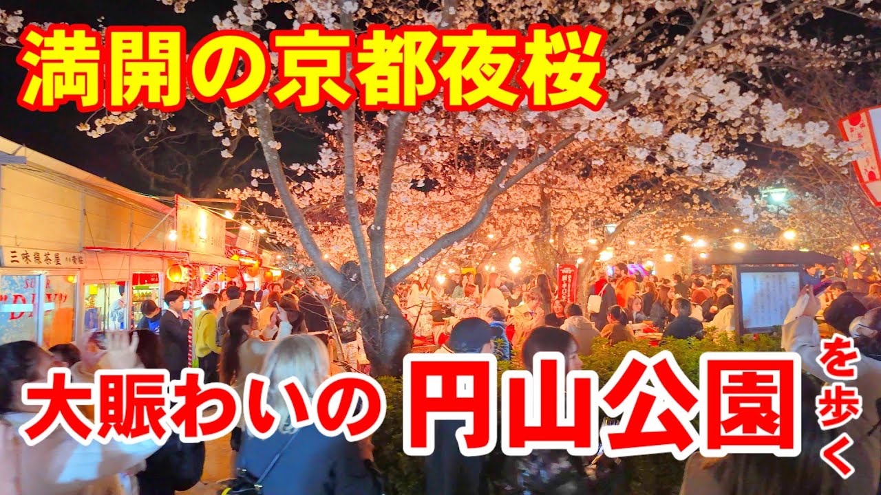 4/2(水)桜満開🌸夜のお花見大賑わいの京都  八坂神社〜円山公園を歩く【4K】Kyoto Cherryblossom spots MaruyamaPark