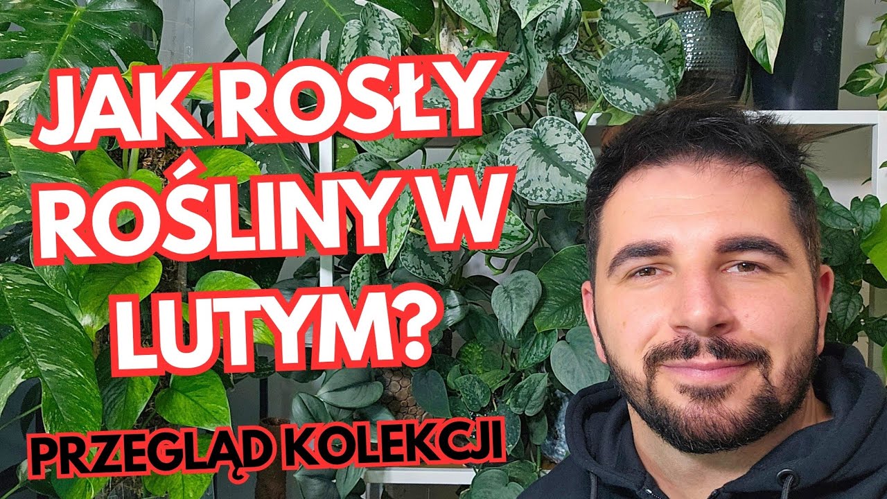  LUTY mnie zaskoczył...Hoje szaleją! Przegląd roślin 