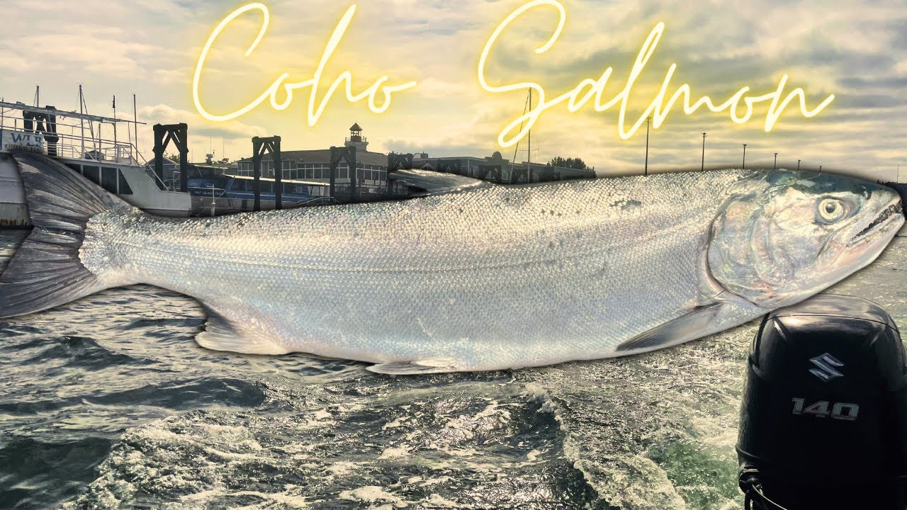 Trolling for Puget Sound COHO Salmon!