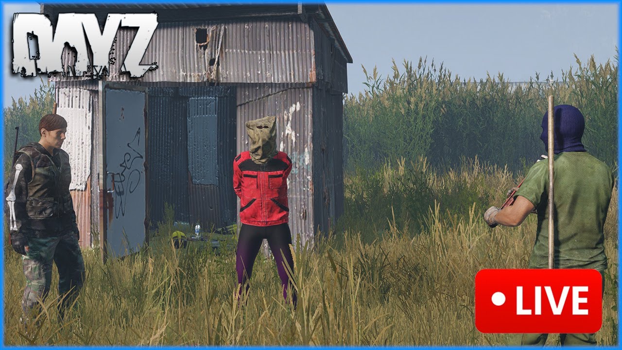 DayZ LIVE | 1440p | Nitno 313