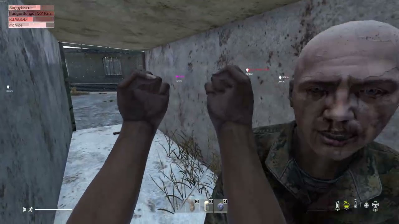 DayZ Loaded - Random fights + base raid