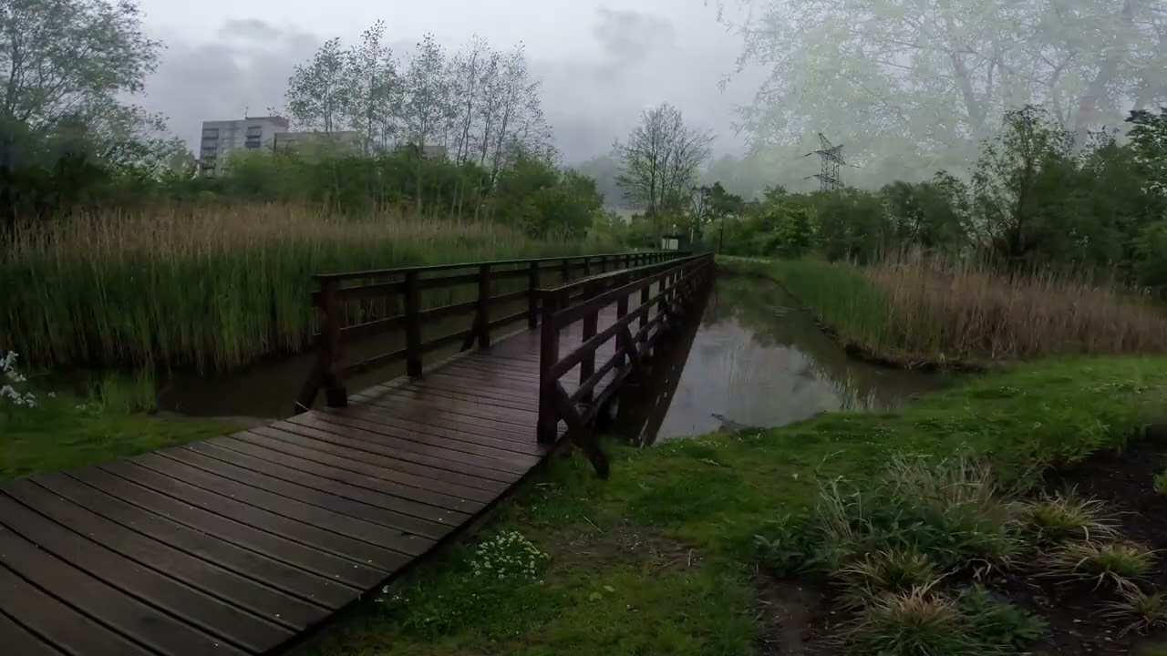 Po deszczu...  Wiosna