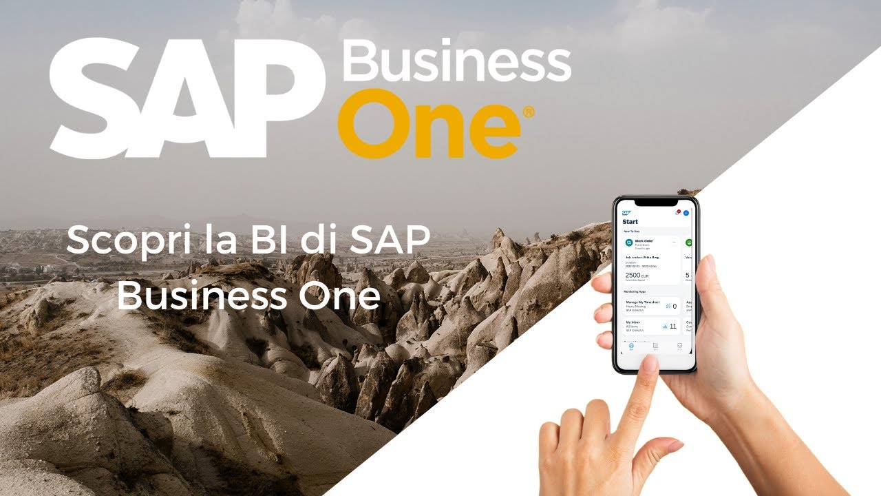 Webinar: scopri la BI di SAP Business One