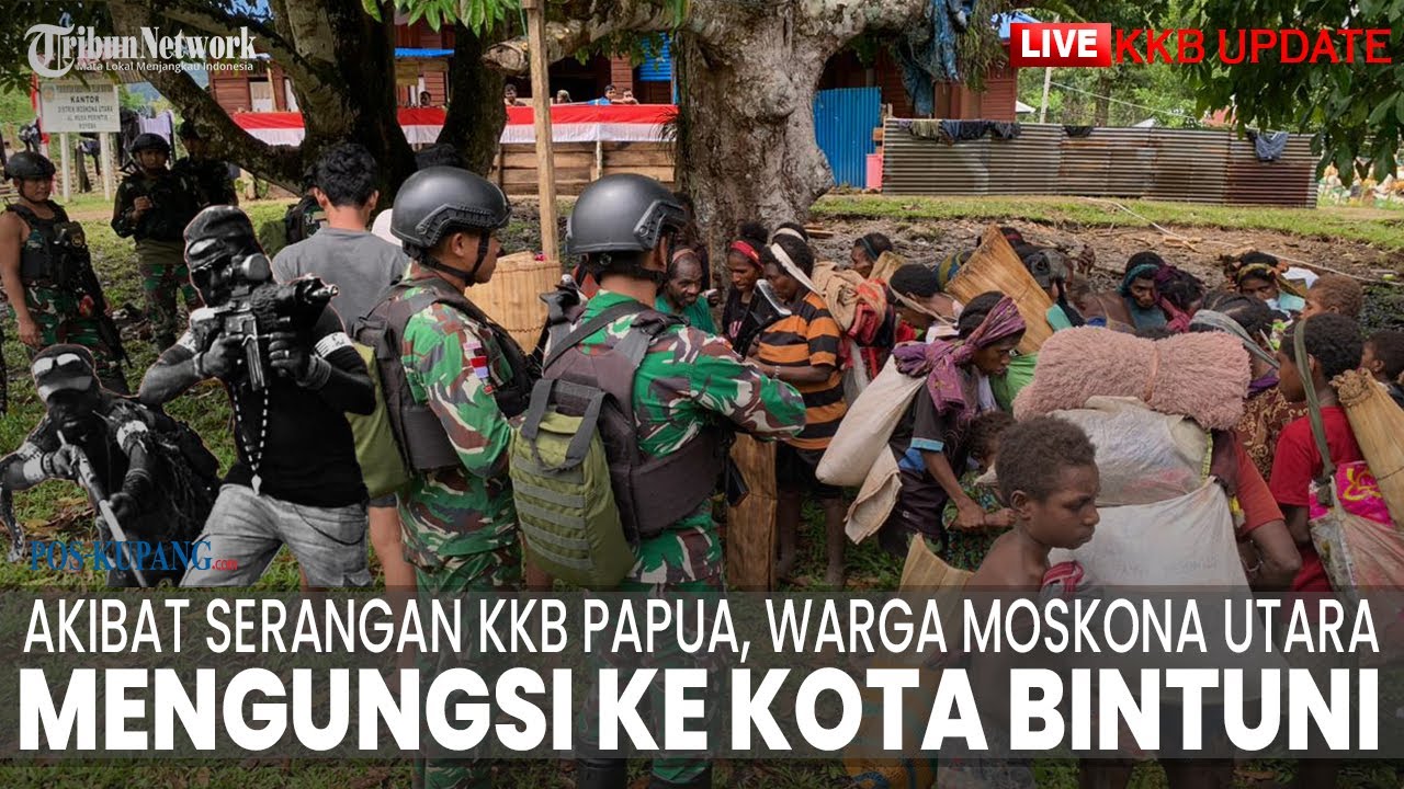 🔴LIVE UPDATE KKB: Akibat Serangan KKB Papua, Warga Moskona Utara Mengungsi Dibantu Prajurit TNI