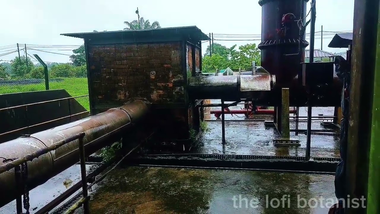 Lofi | Japanese Old Building Rain  🌧️ | Study, Relax, Focus 