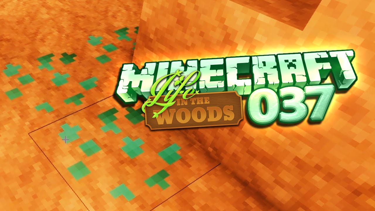 LIFE IN THE WOODS [S01E037] - Expeditionen ins Gierreich