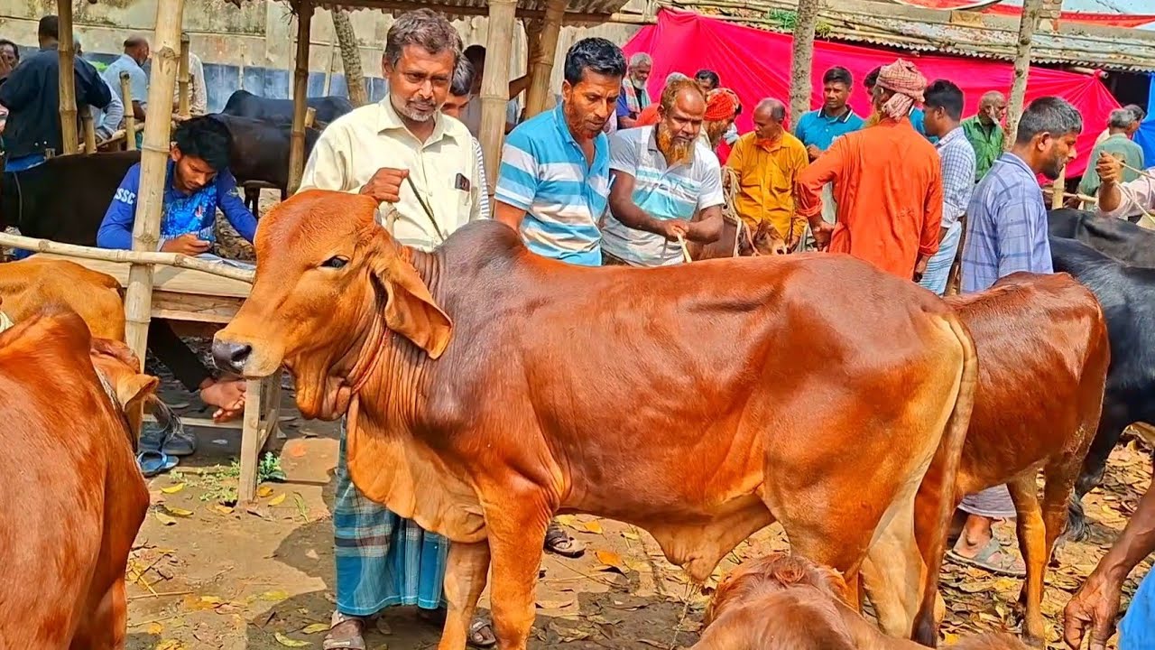 @আজ ১৫ মার্চ