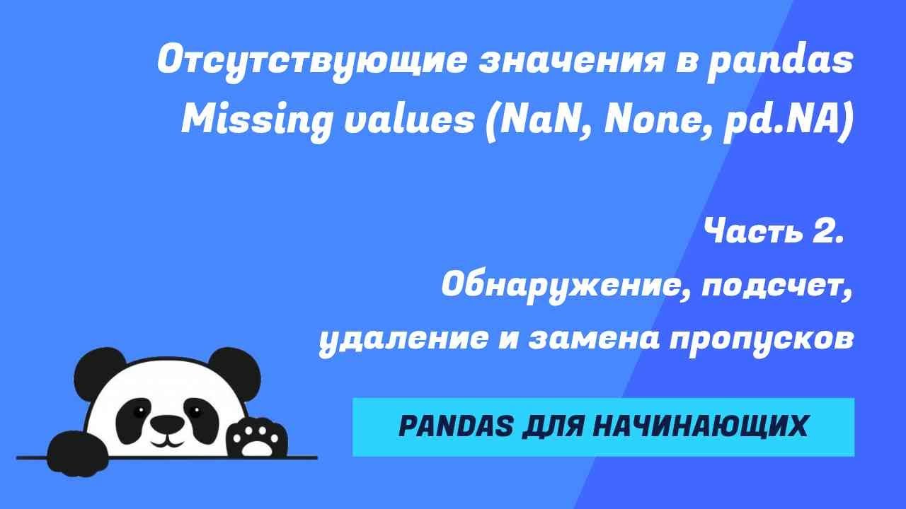 Работа с пропусками NaN в DataFrame. Подсчет, удаление, замена. Методы dropna, fillna, bfill, ffill.