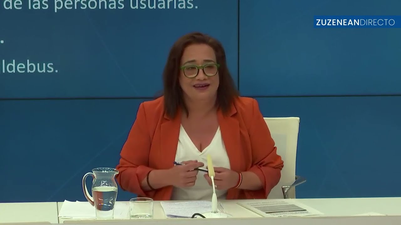 LURRALDEBUSEKO OARSOALDEA – BIDASOA KONTZESIOA / CONCESIÓN LURRALDEBUS OARSOALDEA - BIDASOA