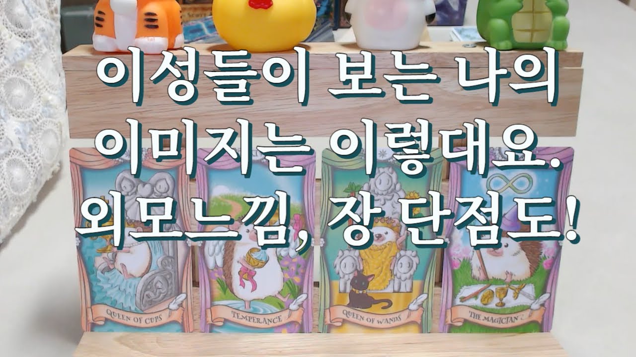 타로- 이성들이 보는 나의 이미지, 외모느낌, 내면 느낌, 장점 및 단점은?
