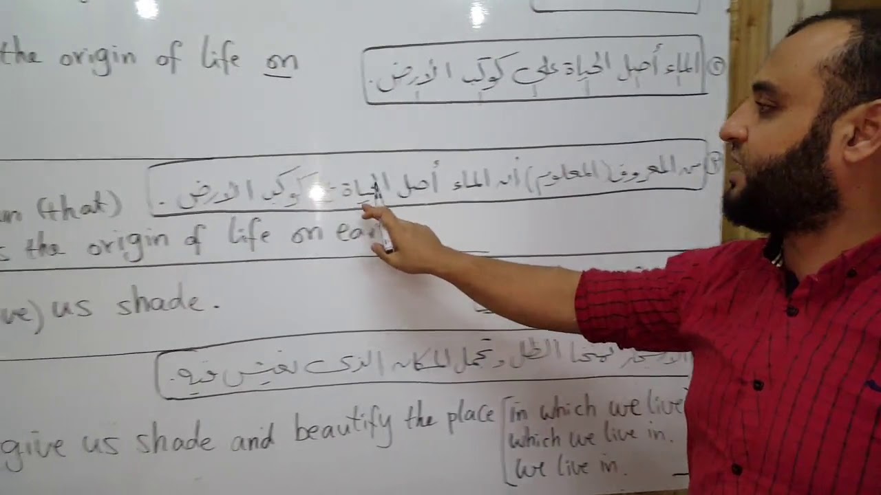 فن الترجمة مع مستر عصام