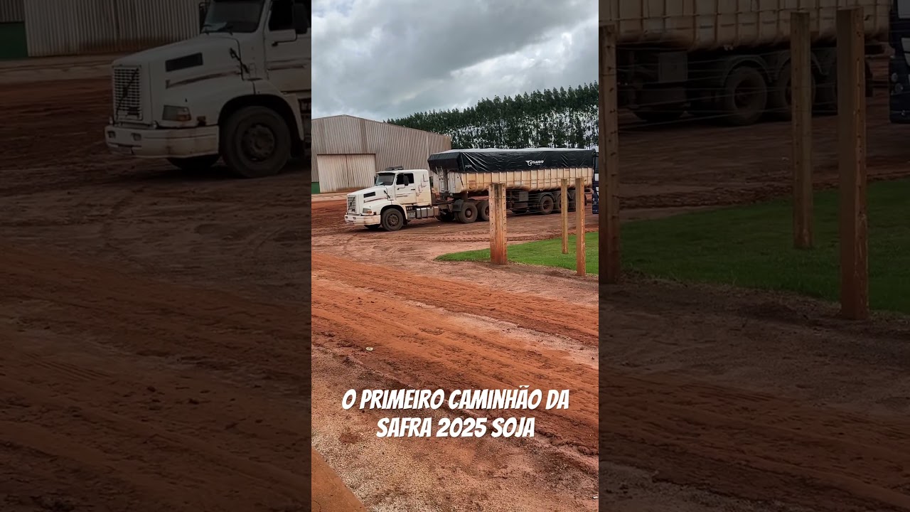 O primeiro caminh&atilde;o da safra 2025 soja #soja #safra