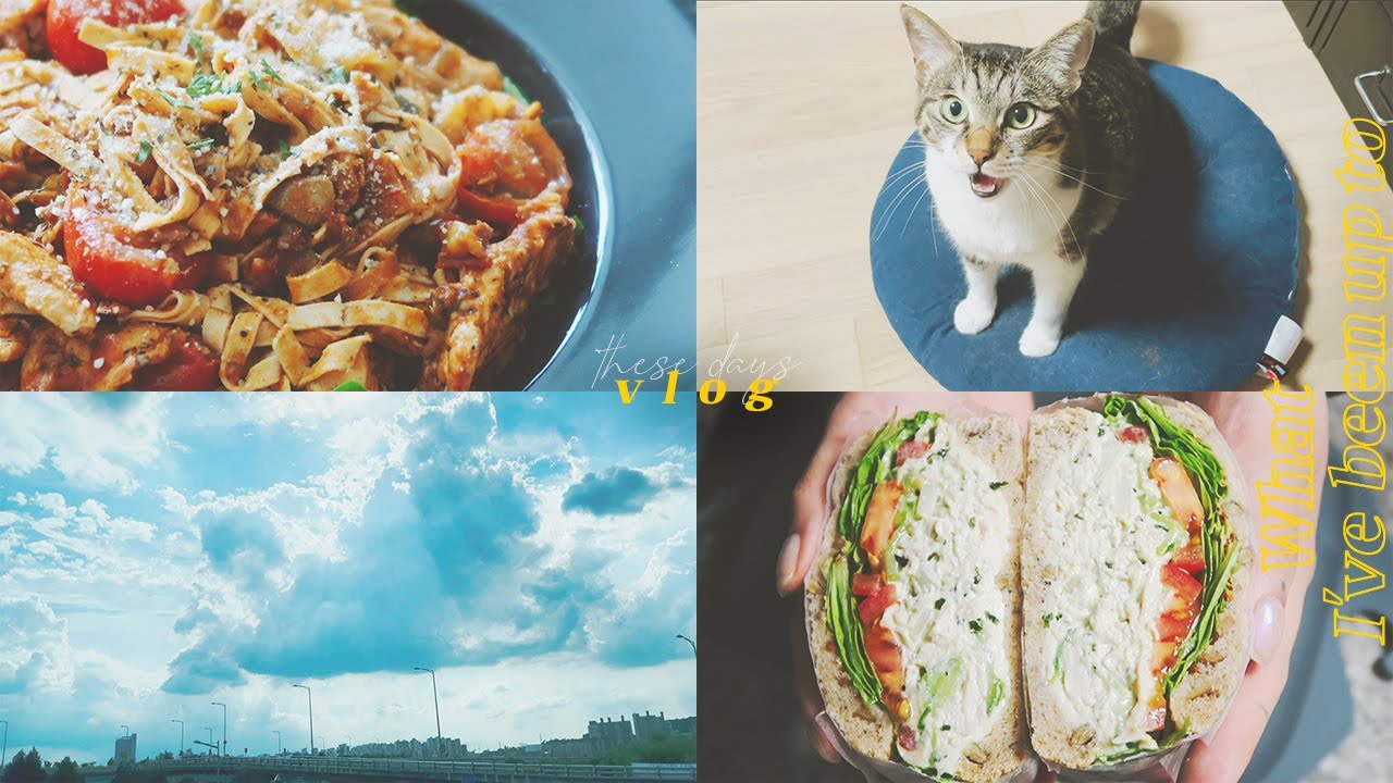 (sub) What I've been up to ; 요즘 일상 vlog #04 🍳 이것은 브이로그인가 요리영상인가...