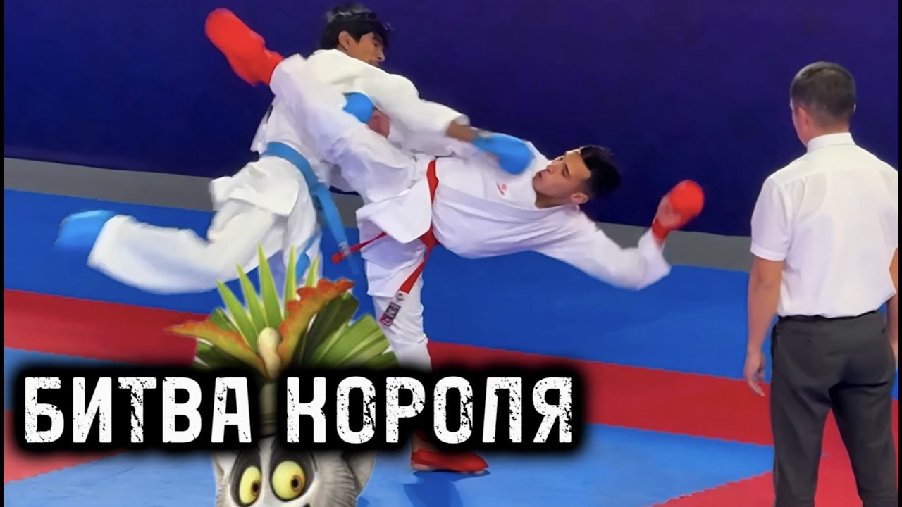 Как попал король ДЖУЛИАН на чемпионат Москва вселенная каратэ WKF? ali elsawy karate -75 kg