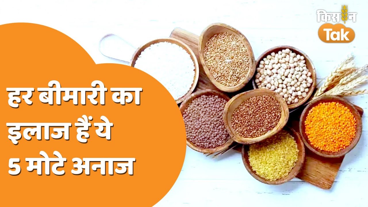 ये 5 Positive Millets खाएं और शुगर, बीपी, मोटापा दूर भगाएं | Millets for weight loss | Kisan Tak