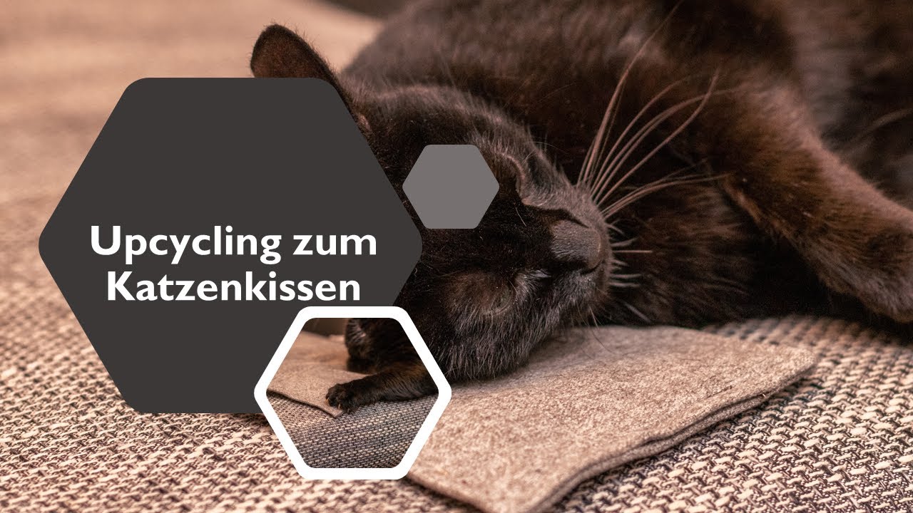 Upcycling zum Katzenkissen