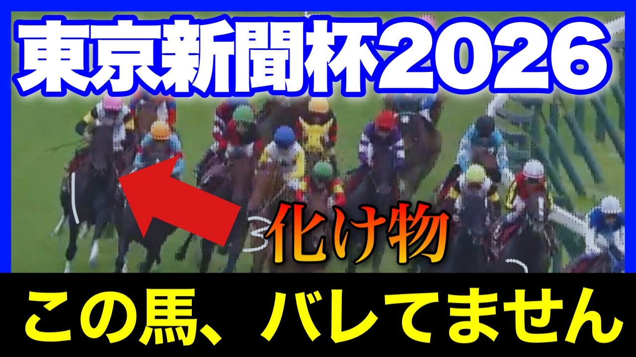 実は強いのに地味すぎて激美味オッズになりそうな馬がいます🏇🔥【東京新聞杯&きさらぎ賞2026】