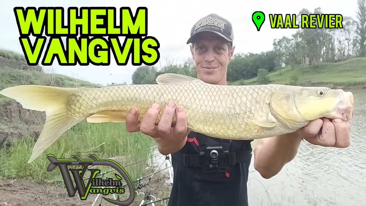 EPIC New Year’s Fishing Adventure: PB Grootbek Geelvis, Carp & Catfish on a Cloudy Day!