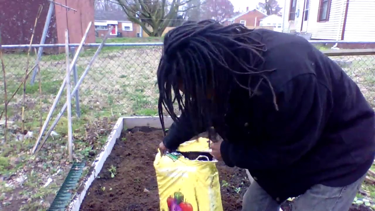 When to Transplant Your Seedlings Outdoors | How to Transplant Your New Plants | Part 1 of 2