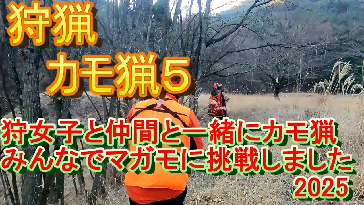 【狩猟】 鴨猟５　狩女子と仲間と一緒にマガモ猟に挑戦しました🦆❗️　2025年 #狩猟ユーチューバー #狩猟 #shorts #ジビエ #猟師 #狩女子