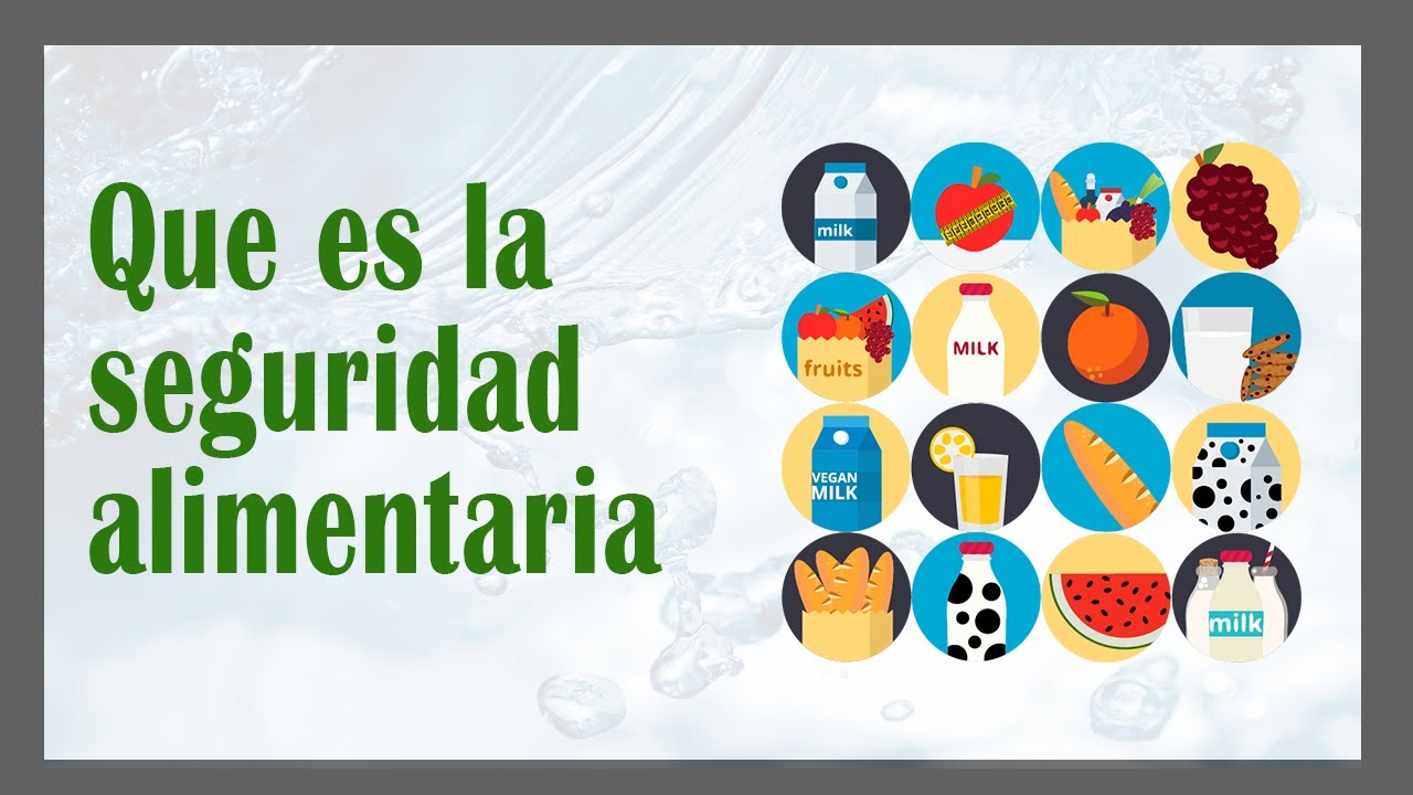 Que es la SEGURIDAD ALIMENTARIA y NUTRICIONAL 🍞🥛🍒 y Cuales son los factores que la componen