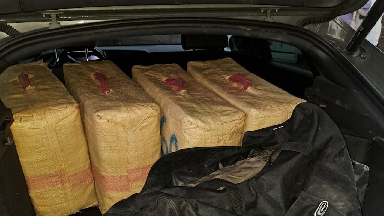 Gdf Avellino, sequestro di tre quintali di droga
