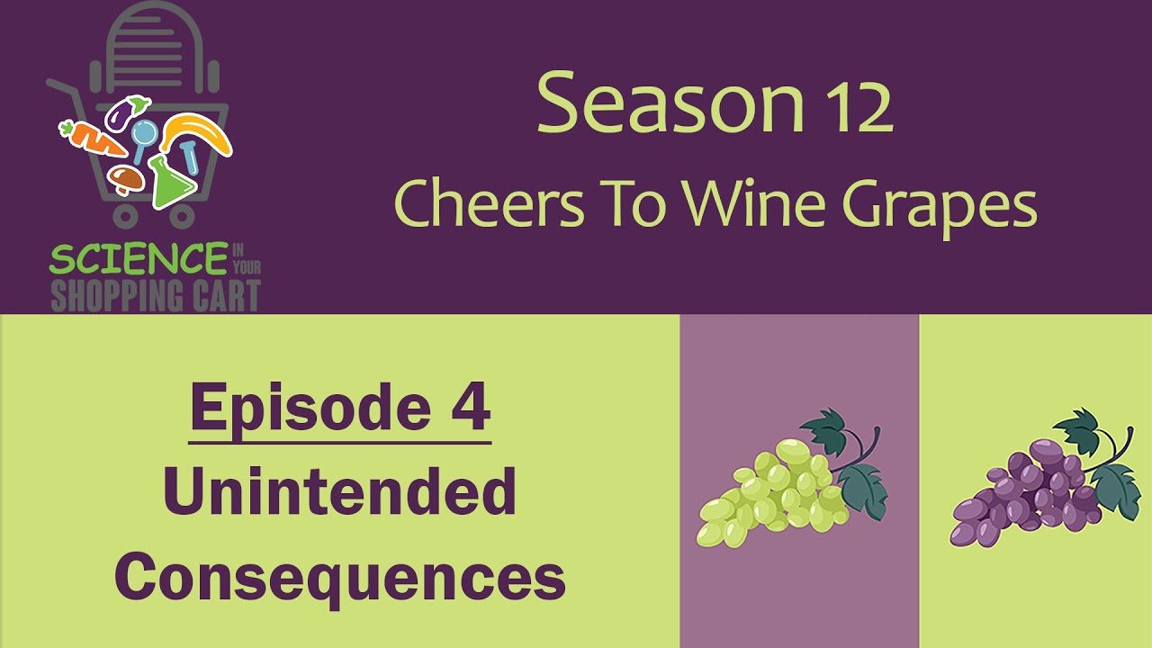 Science In Your Shopping Cart | Season 12: Cheers To Wine Grapes || Ep 4: Unintended Consequences