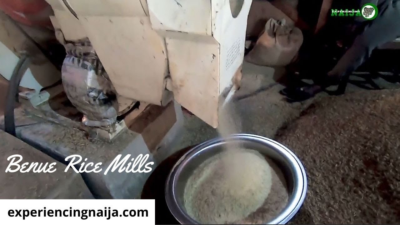 Rice Mills in Benue State, Nigeria | Rice Processing | Rice Milling Business